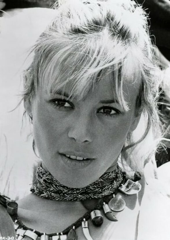 Eclipsed Muse: The Anita Pallenberg Chronicles