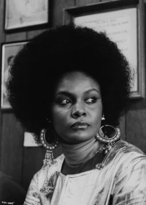 Elegance in Ebony: The Tamara Dobson Story