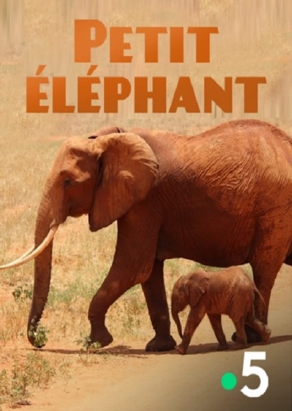 Elephant Country 