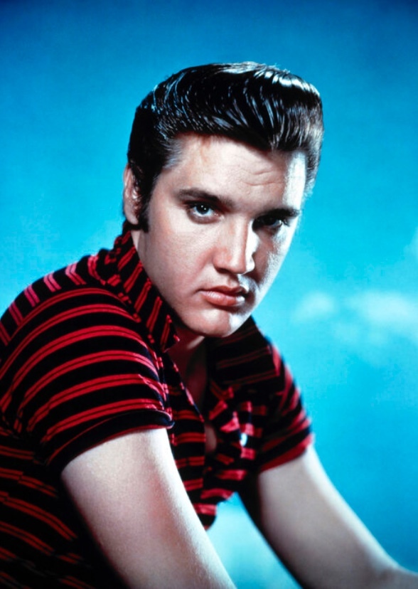 Elvis Presley: Vampire Hunter