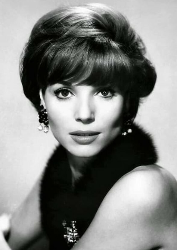 Eternal Elegance: The Elsa Martinelli Story