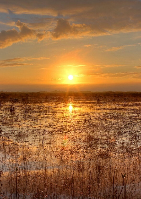 Everglades National Park (PBS Nature Series)