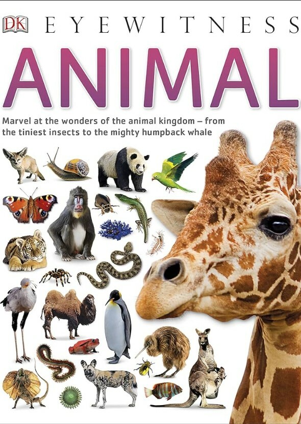 Eyewitness: Animal
