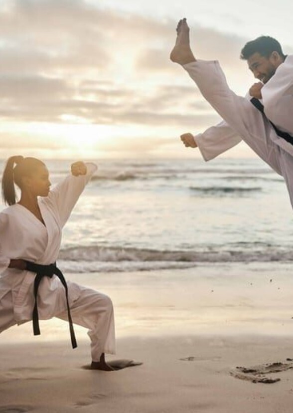 Face Claims Sorted by Martial Arts