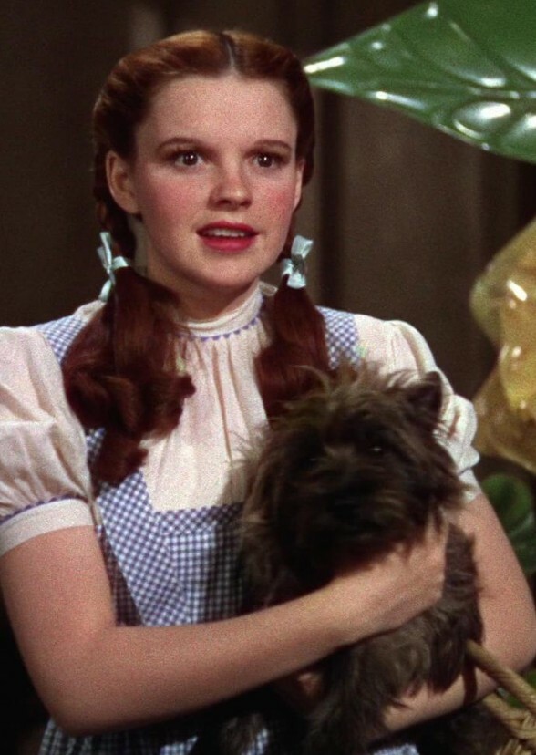 Fan Casting Judy Garland as Dorothy Gale in The Wizard of Oz (1939)