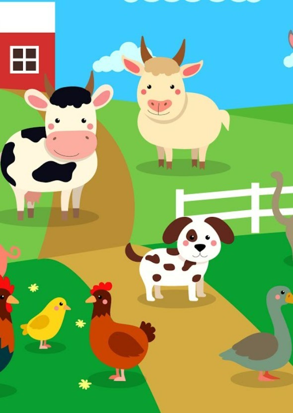 Farm Animals