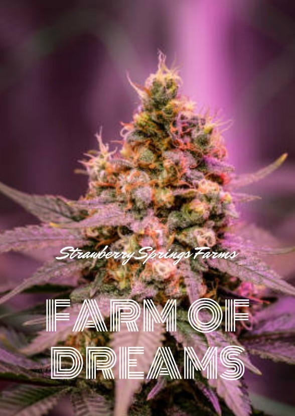 Farm Of Dreams