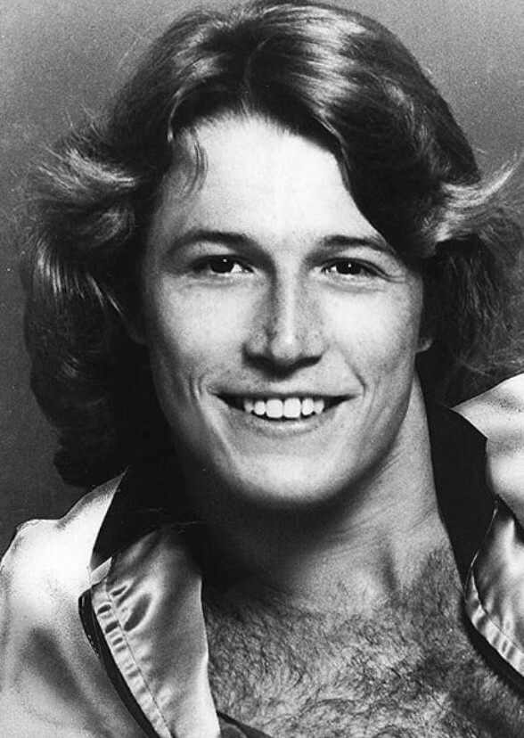 Fevered Harmony: The Andy Gibb Story