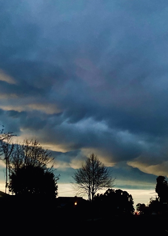 Fictional Characters Fan Casting On Mycast