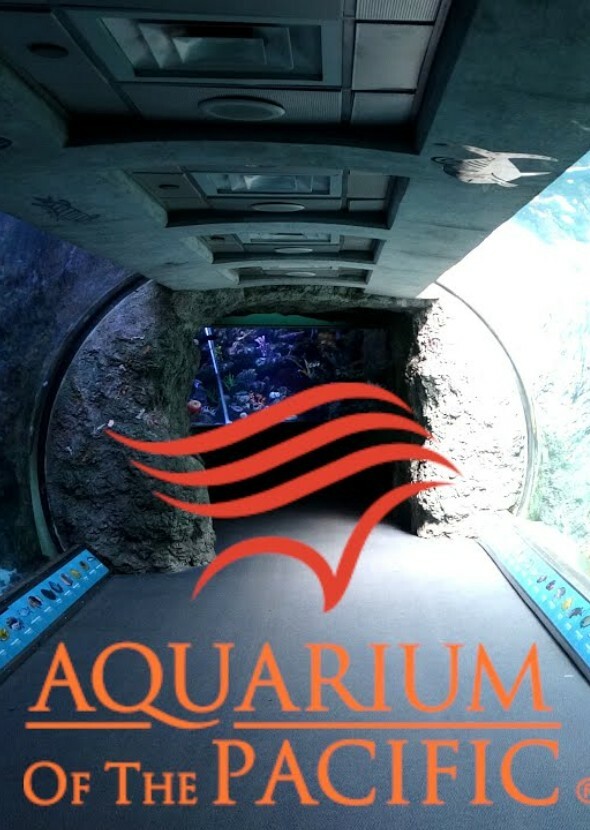 Fictional Characters Voicing Aquarium Animals
