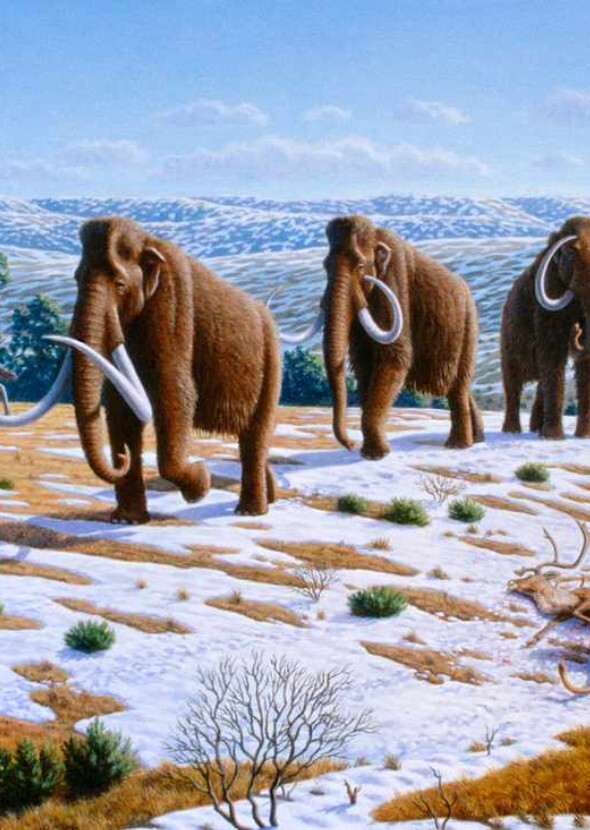 Fictional characters voicing Cenozoic Animals