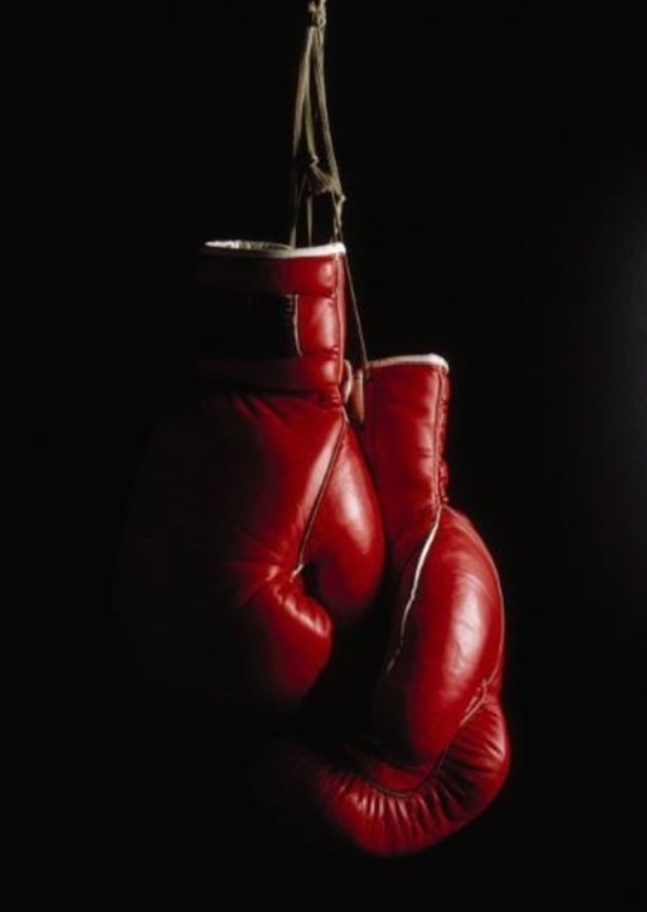 Fight Night 