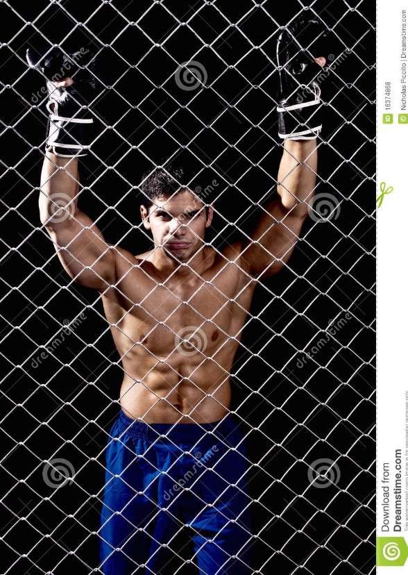 Fightland