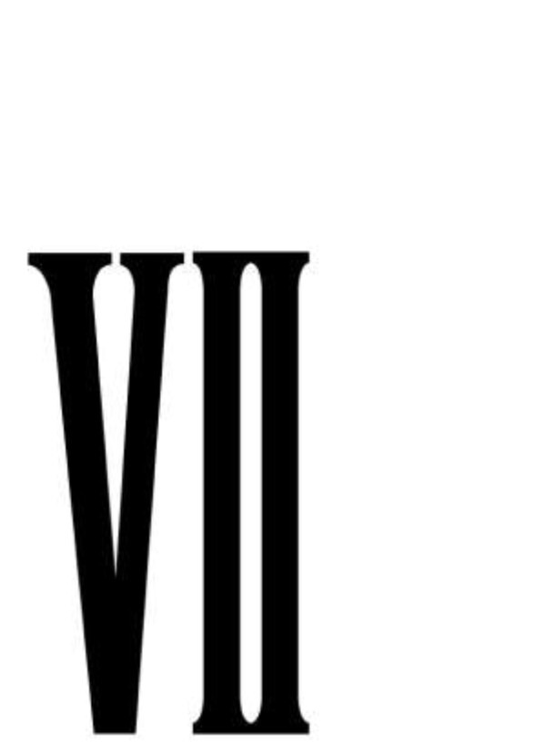 Final Fantasy: Seven (202X)