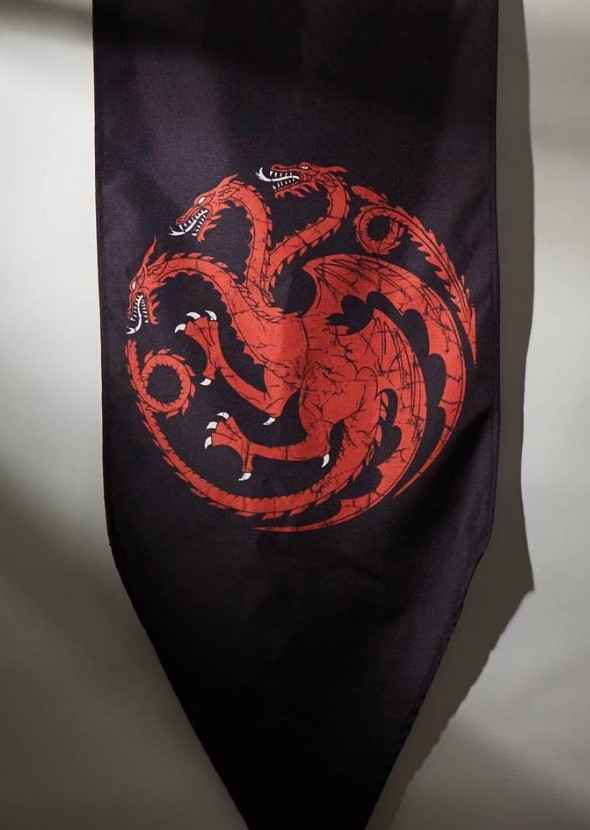 Fire & Blood - Aegon's Conquest