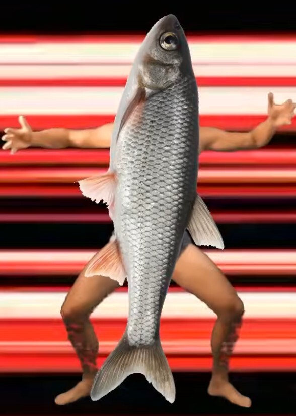 Fish Hunt