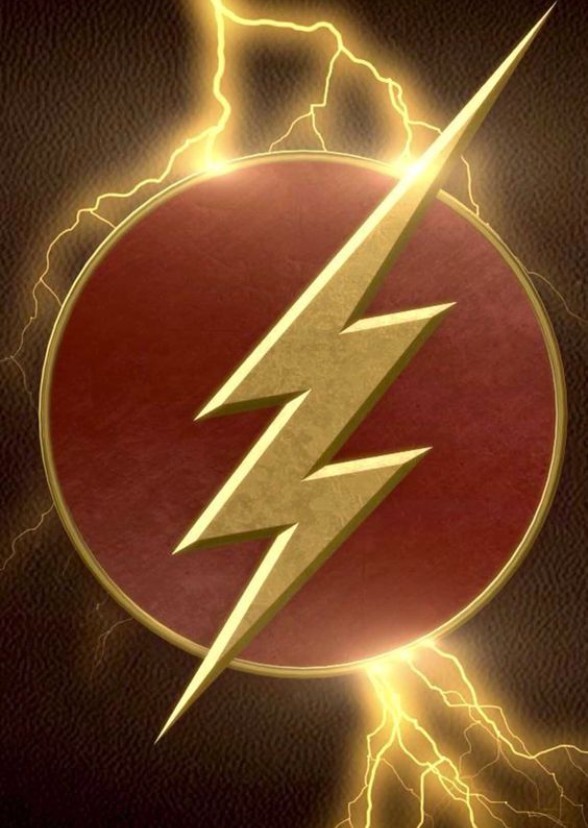 Flash: Central City Protector 