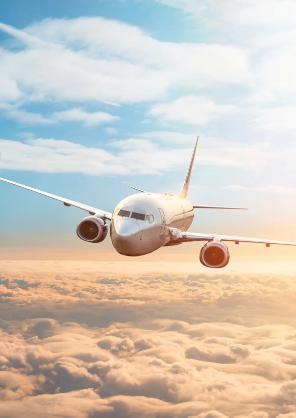 Flight of the Hijacking