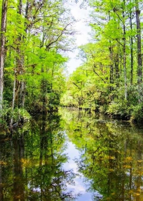 The Florida Everglades (tv series)