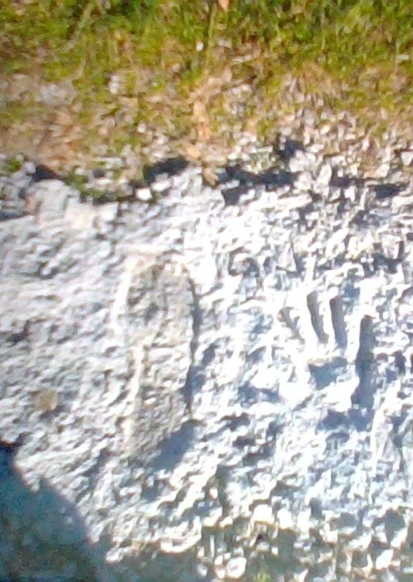 shawn & sparkie. foot prints.