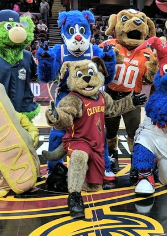 Franklin vs Moondog: Canine Wars