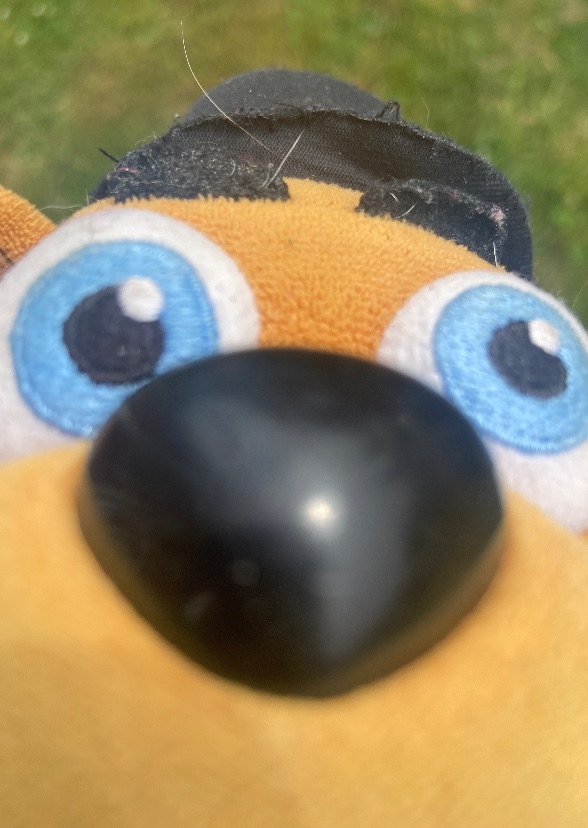 Freddy Fazbear and friends 