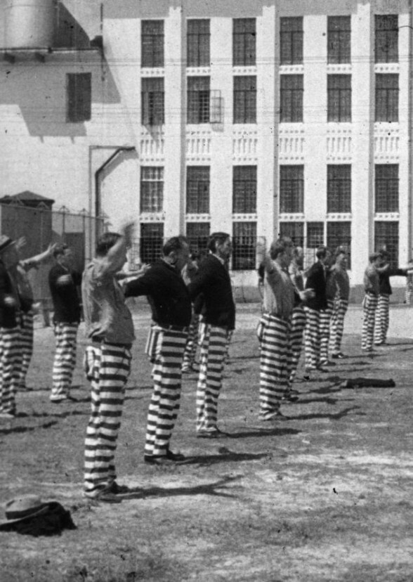 FREEDOM'S MELODY (2026)