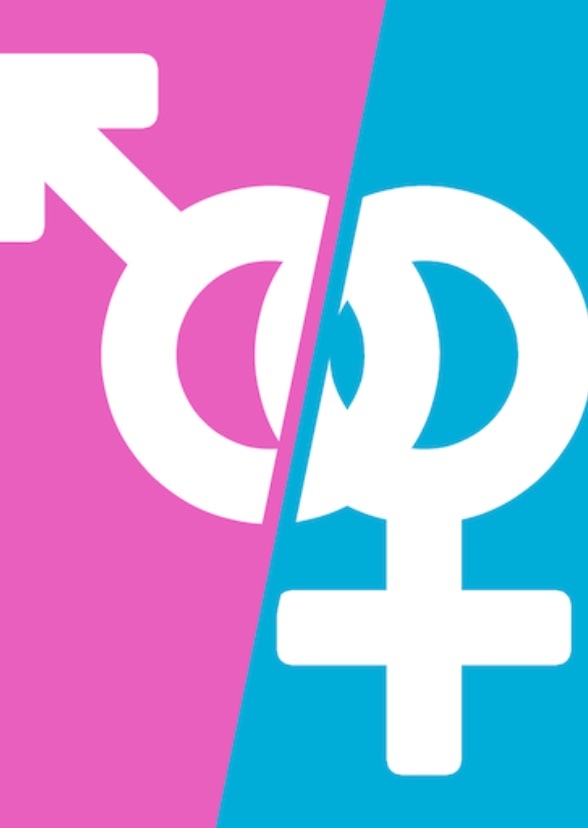 What Genderswap Characters Should Actors Play
