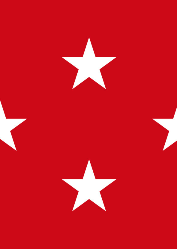 General Disturbance