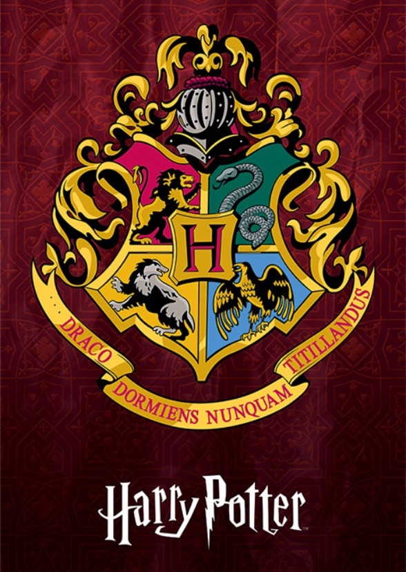 Glee Characters in Hogwarts Houses