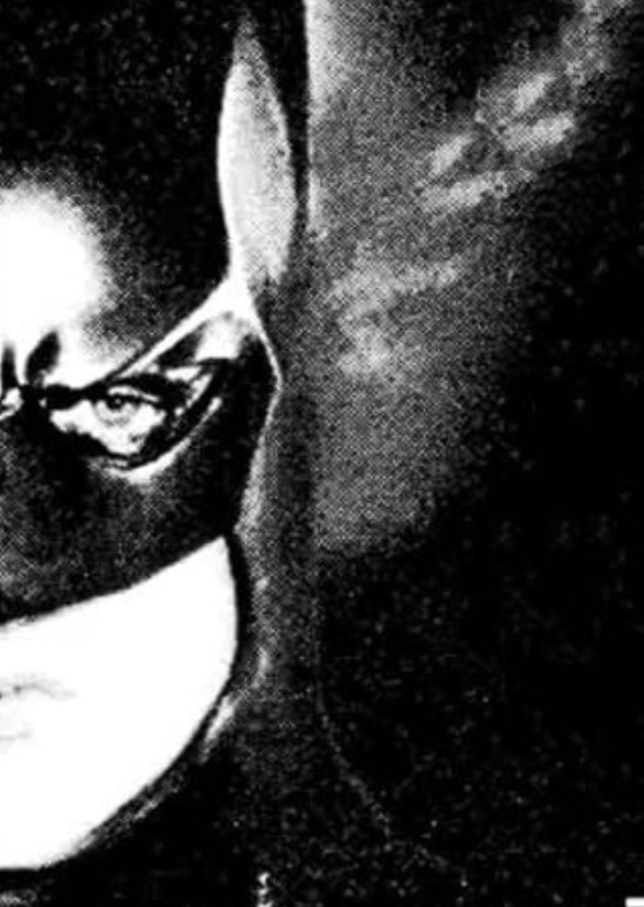 Grayson & Wayne Fan Casting on myCast