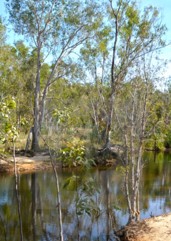 Great Billabong