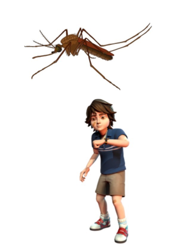 Gregory VS. A Mosquito