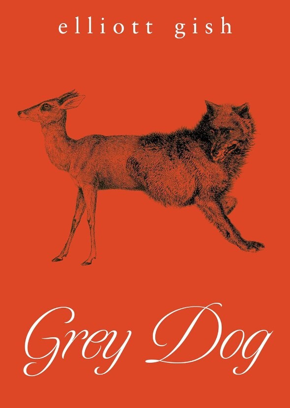 Grey Dog