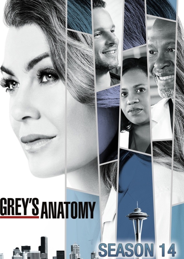 Grey's Anatomy (2015-)