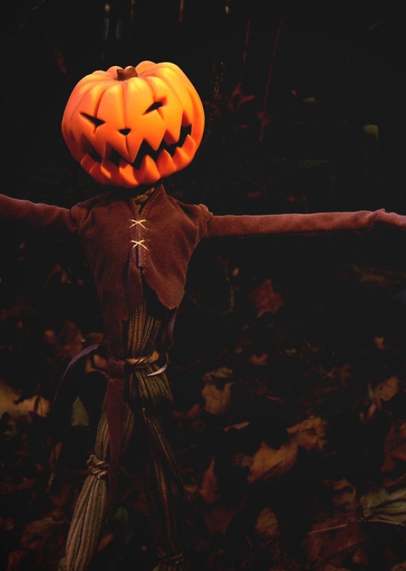 Hallows Eve At Conyberry