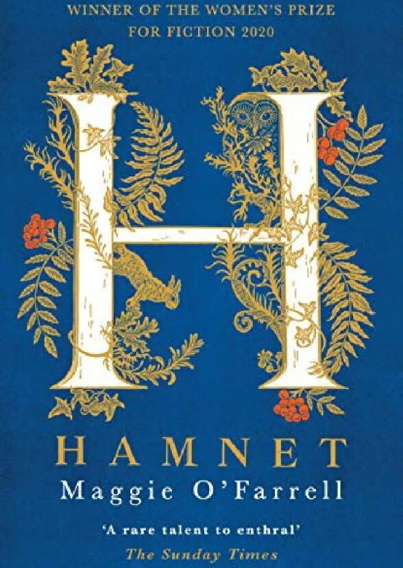 OSCAR NOMINEE HAMNET IS NEW ON STREAMING visual data 7