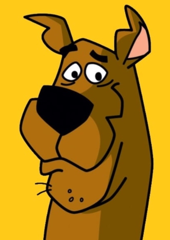 Hanna Barbera Live Action Cast