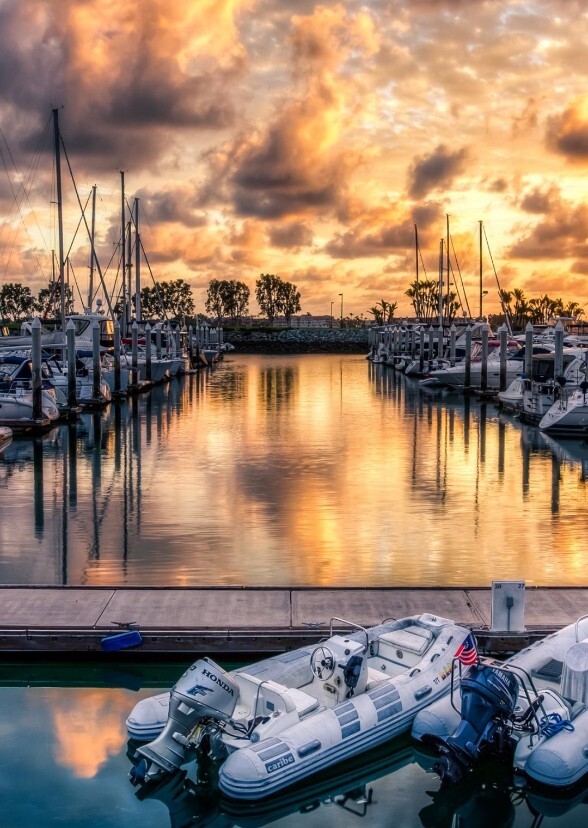 THE HARBOR (2031)