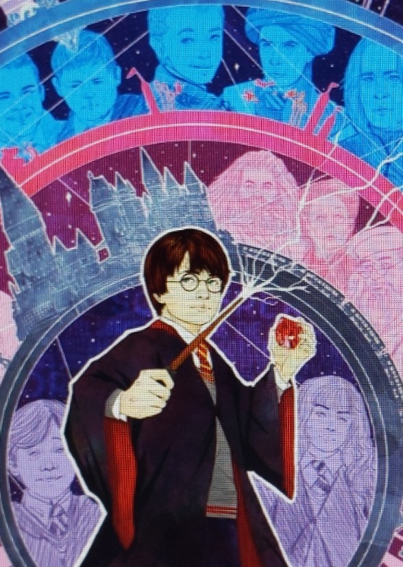 Harry Potter and the sorcerer's stone (2011)