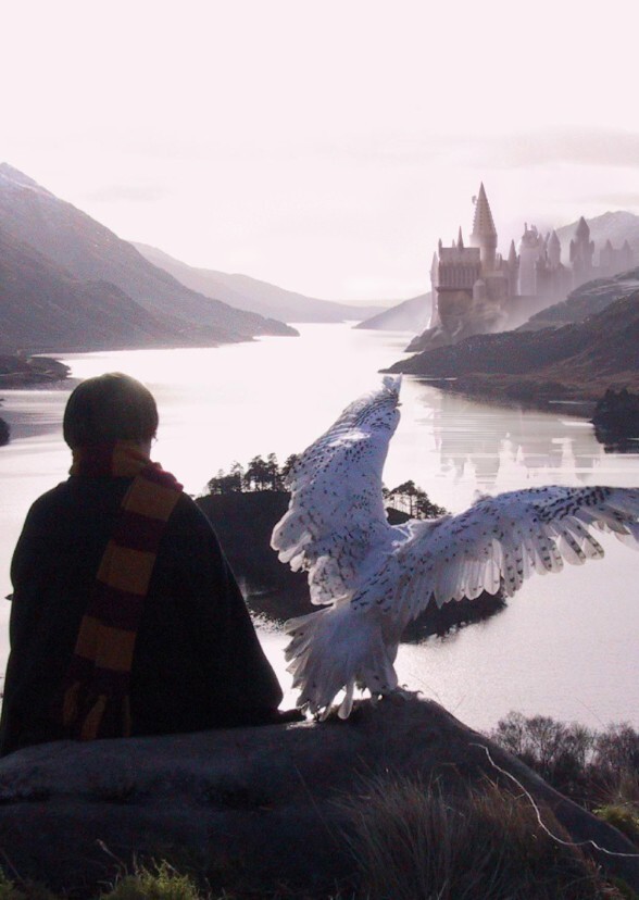 Harry Potter