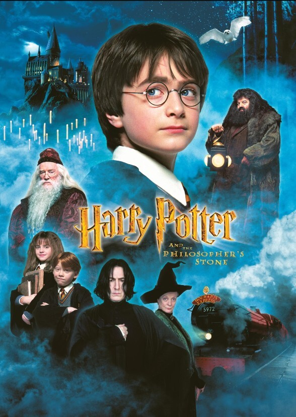 Harry Potter HBO cast (Real/Fancast)