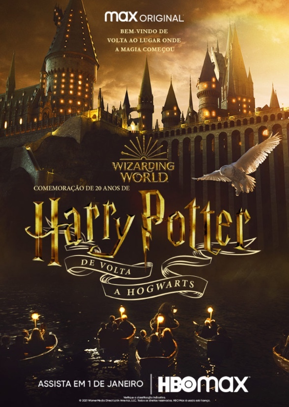 Harry Potter HBO series