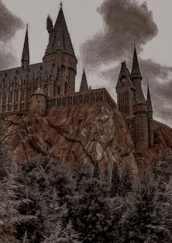 Harry Potter Next Generation Dreamcast