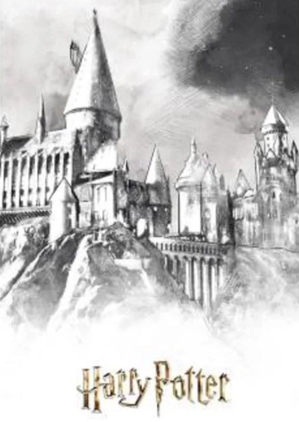 Harry Potter saga (2001-2011)