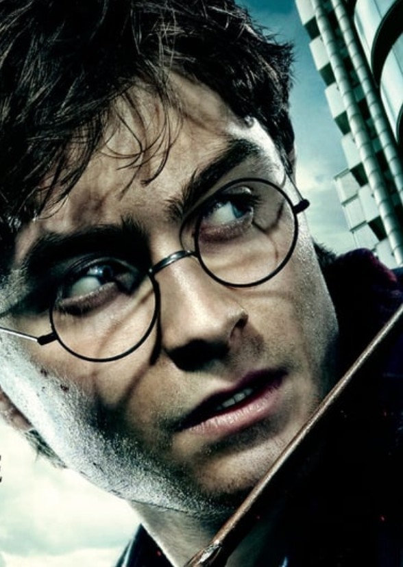 Harry Potter series 