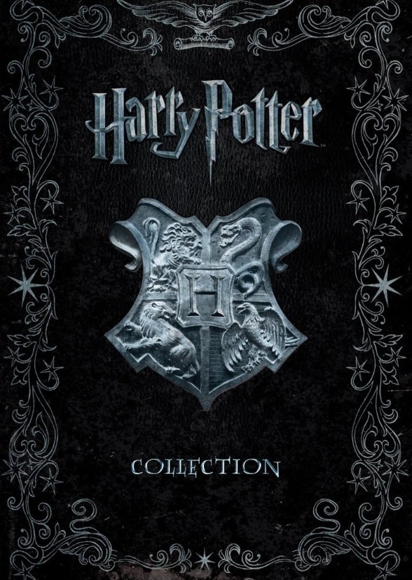 Harry Potter: the Boy Who Lived