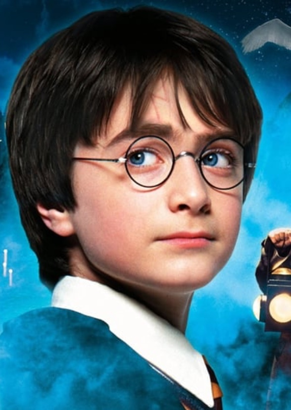 Harry Potter the series