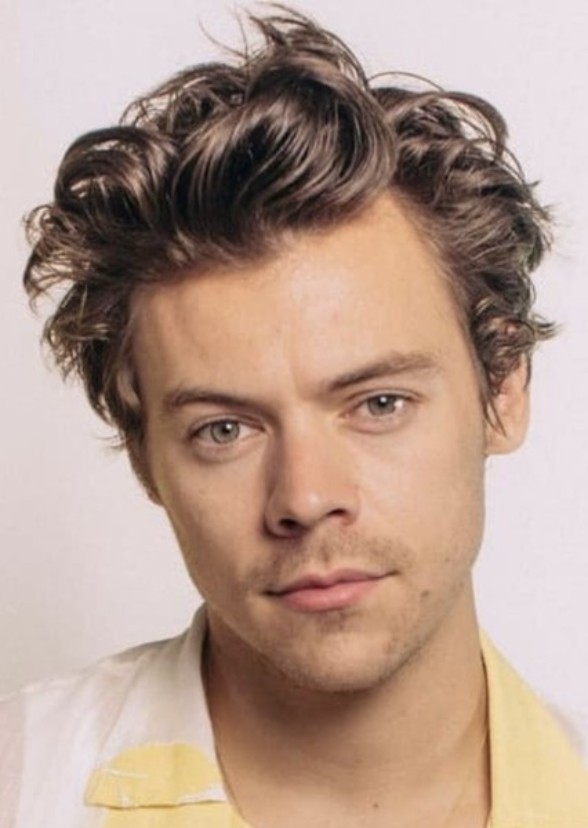 Harry Styles (Biopic)