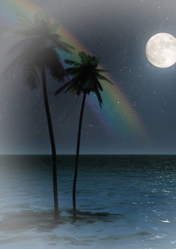 Hawaii: Part II